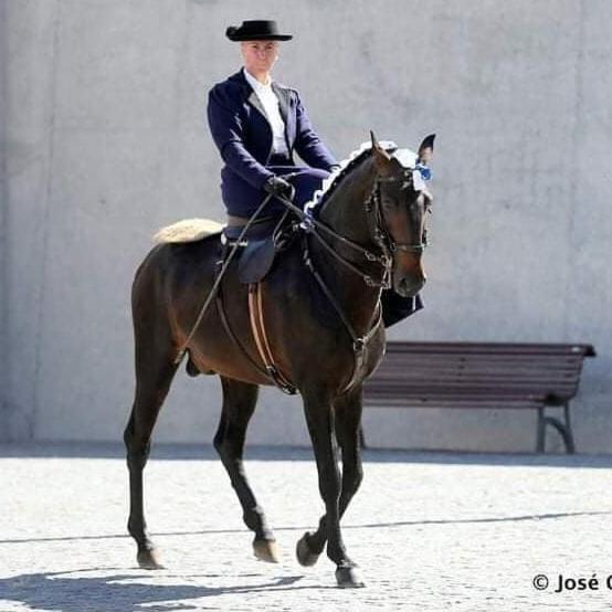 Horse Riding Country House Vila Franca de Xira Exterior foto